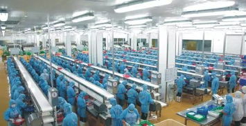 湛江國聯(lián) 深耕電商領(lǐng)域產(chǎn)業(yè)延伸成效初顯