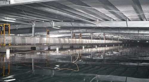 水產(chǎn)養(yǎng)殖用投入品專項(xiàng)整治啟動(dòng),海璟水產(chǎn)為消費(fèi)者開(kāi)啟 安全模式