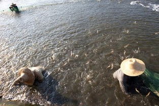 科技創(chuàng)新