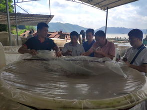 廣西自治區水產技術推廣總站率專家團隊到梧州調研水產養殖綠色發展情況