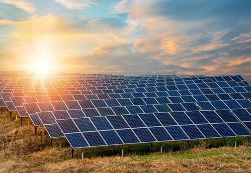 水產(chǎn)大王的逆襲 30年前破四川養(yǎng)魚紀(jì)錄,30年后威震中美科技圈