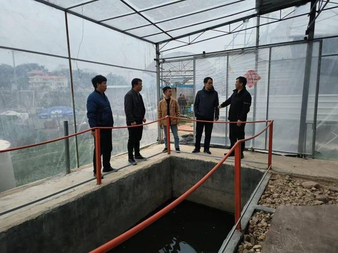 水產養(yǎng)殖尾水達標排放,省水技總站專家組團來南調研_治理_企業(yè)_技術