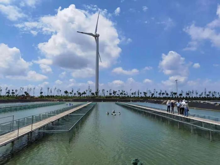 18000多畝標準化養殖池塘,專注高品質草魚、鯽魚、鮰魚養殖!現代化水產養殖企業誠邀技術員