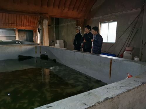 水產學院王慶奎教授赴水產養殖企業開展技術指導