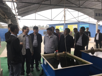 全國水產(chǎn)技術推廣總站張鋒書記到晉江福大鮑魚水產(chǎn)調(diào)研