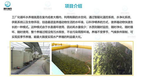 工廠化水產養魚設備 智慧農研水產科技公司 水產養魚設備