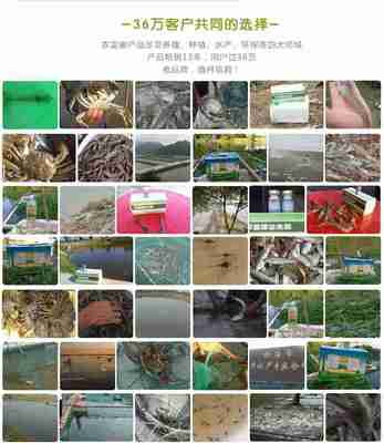 池塘養蝦的水產益生菌哪里能買到多少錢