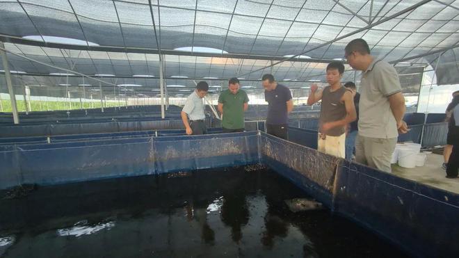 技術(shù)大拿間的&ldquo;夢幻聯(lián)動(dòng)&rdquo;!海之味與集美大學(xué)水產(chǎn)學(xué)院達(dá)成戰(zhàn)略合作,開啟牛蛙技術(shù)研發(fā)新篇章