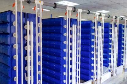 梭子蟹住進 蛻殼公寓 ,新型水產(chǎn)養(yǎng)殖正在興起