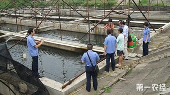 循環(huán)水處理有水可養(yǎng)魚蝦 水產(chǎn)養(yǎng)殖技術(shù)