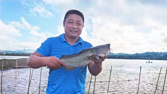 養(yǎng)殖、加工、銷售一條龍!這個(gè)基地養(yǎng)出來的叉尾鮰全程可溯源,大受市場歡迎!
