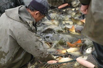 大湖股份聯(lián)手&ldquo;魚院士&rdquo;助力湖南水產(chǎn)千億產(chǎn)業(yè)目標(biāo)