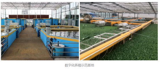 大愛無邊 暖冬守護(hù) | 凱米斯用行動(dòng)詮釋公益助農(nóng)