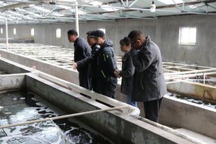 天津市水產(chǎn)產(chǎn)業(yè)技術(shù)體系創(chuàng)新團(tuán)隊(duì)首席專家邢克智教授帶隊(duì)赴東麗區(qū) 濱海新區(qū)指導(dǎo)水產(chǎn)養(yǎng)殖工作