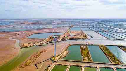 科技人才為藍色產(chǎn)業(yè)提底氣