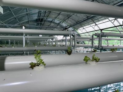 通遼市首家工廠化養魚項目落戶奈曼