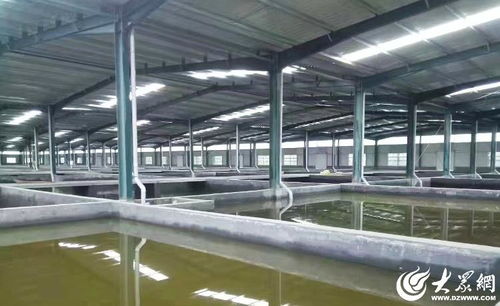 菏澤 水產(chǎn)綠色健康養(yǎng)殖 五大行動 助推漁業(yè)養(yǎng)殖轉型升級