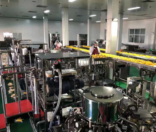 中共吉林省委金融委員會辦公室 吉林省地方金融管理局