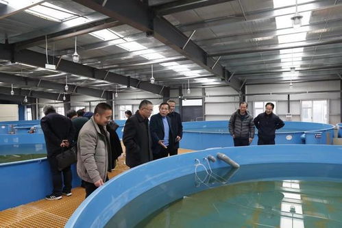 江西省水產(chǎn)學會在九江市召開工廠化循環(huán)水養(yǎng)殖研討會