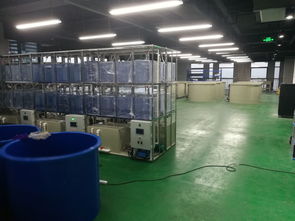 科創(chuàng)組團, 工業(yè)化淡水水產(chǎn)養(yǎng)殖研發(fā)中心 矚目而成