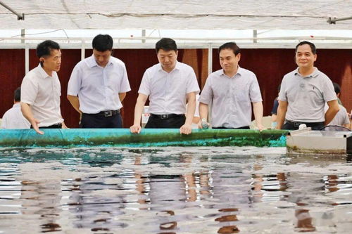 農業(yè)農村部部署推進水產綠色健康養(yǎng)殖技術推廣 五大行動