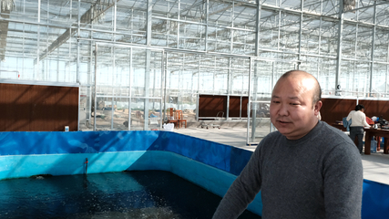 養(yǎng)魚(yú)不換水 種菜不施肥 一水雙收效益高