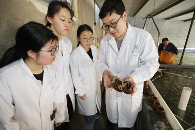 連云港贛榆建立國內首個短蛸繁育養成體系