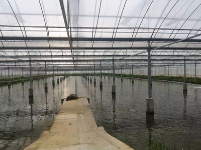 這個&ldquo;85后&rdquo;退役軍人在三星鎮(zhèn)把小龍蝦做成了大生意?你認識他嗎?