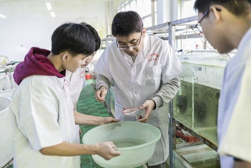 要會和魚蝦 對話 這個專業(yè)培養(yǎng)新一代水產(chǎn)人