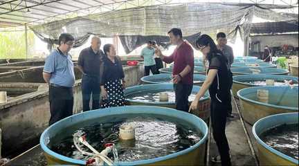 廣西水產(chǎn)科學(xué)研究院開展水產(chǎn)養(yǎng)殖技術(shù)及水產(chǎn)品加工技術(shù)指導(dǎo)