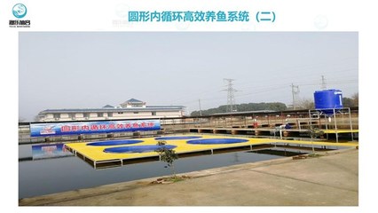 跑道養(yǎng)魚(yú)-智慧農(nóng)研-漁樂(lè)仙宮