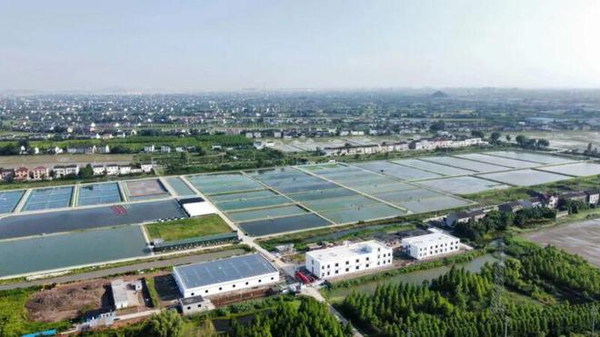 靖江基地一期工程基本完工，水產養(yǎng)殖科研迎來新突破