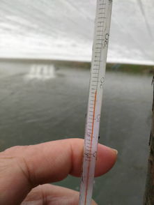 珠海農發(fā)中心深入基層，科學開展水產養(yǎng)殖防寒減災工作